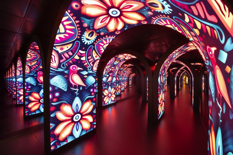 Celebrity Xcel Tunnel ©Celebrity Cruises1.jpg